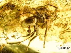 Gintaro inkliuzas - gintarinis suvenyras