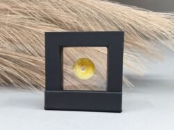 Gintarinis suvenyras rėmelyje