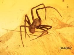 Gintaro inkliuzas - gintarinis suvenyras